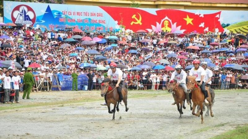 Lễ hội đua ngựa Bắc Hà.