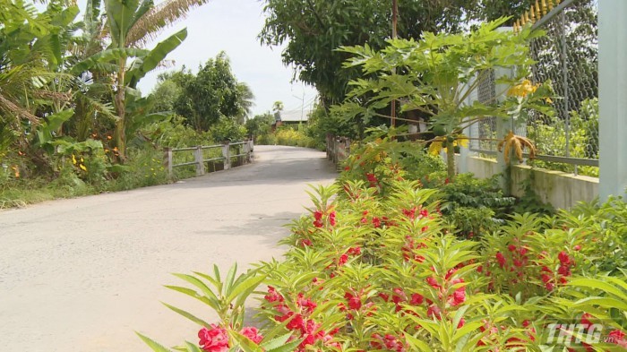 Tuyến đường giao thông nông thôn tại xã nông thôn mới Tân Hưng – huyện Cái Bè. Ảnh: Bùi Phong/thtg.vn