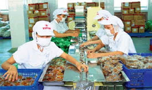 Nông sản Việt đón đầu FTA Việt Nam – EU: Tập trung tháo gỡ vướng mắc về an toàn vệ sinh thực phẩm