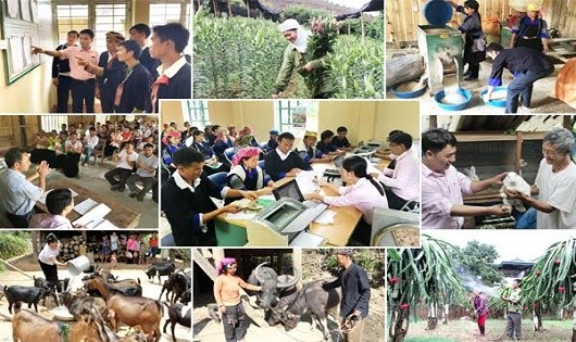 Những năm qua, hộ nghèo và các đối tượng chính sách trong cả nước đã tiếp cận nguồn vốn vay ưu đãi đầu tư phát triển sản xuất kinh doanh thoát nghèo bền vững.