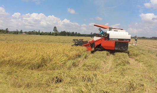Tích tụ ruộng đất phải tạo việc làm mới giúp giảm lao động trong nông nghiệp