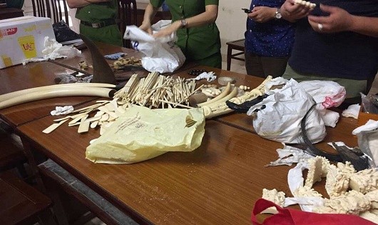 Buôn bán động vật hoang dã quý hiếm: Xử nghiêm sao vẫn sôi động?