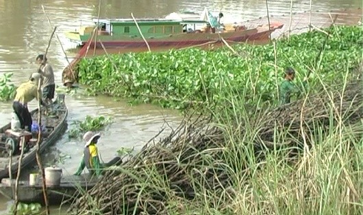 Náo nức dỡ chà, tát đìa bắt tôm cá ăn Tết