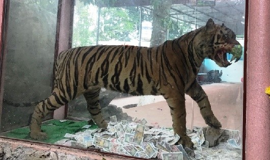 Nghệ thuật hay phạm luật?