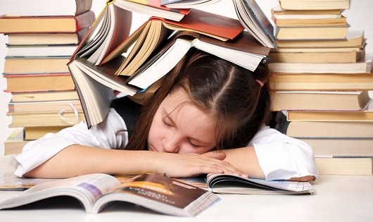 Phụ huynh đừng bắt trẻ “gánh ước mơ” của cha mẹ. Ảnh: Internet