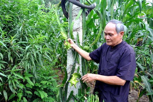 Giúp người già khởi nghiệp