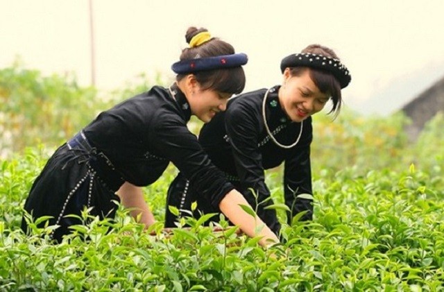 Thụ hưởng chương trình đào tạo kỹ năng số giúp nhiều phụ nữ tự mình tìm kiếm cơ hội kinh doanh, tạo việc làm (ảnh minh họa)