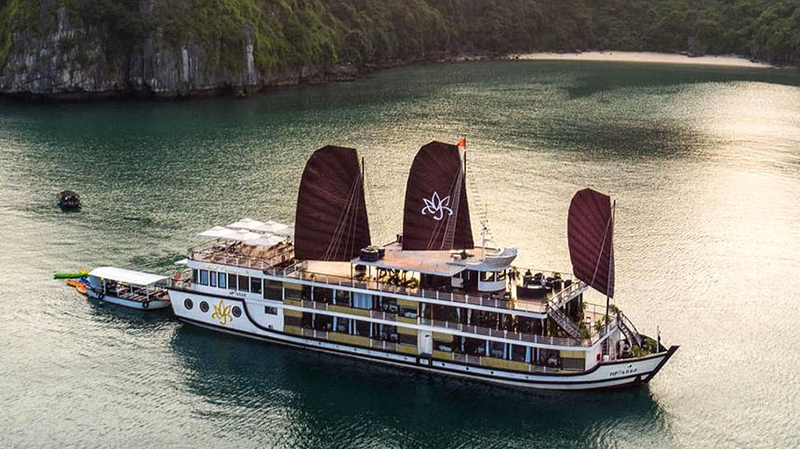 Hơn 500 tàu du lịch Hạ Long đang phải nằm bờ khiến các chủ tàu kiệt quệ. Ảnh minh họa