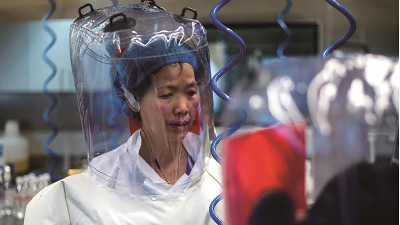 Nhà khoa học Thạch Chính Lệ tại Viện Virus học Vũ Hán (WIV), Trung Quốc.