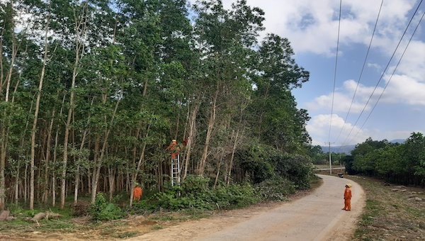 Phát quang hành lang tuyến.