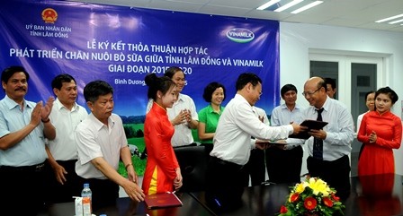 VINAMILK và tỉnh Lâm Đồng hợp tác chăn nuôi bò sữa