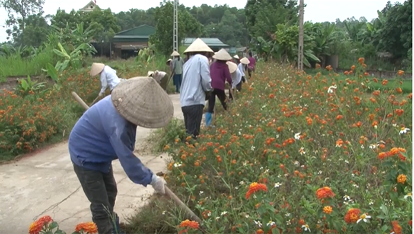 Phú Thọ: Phụ nữ huyện Thanh Ba chung sức xây dựng nông thôn mới