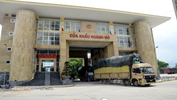 Hàng hóa vi phạm do Công ty TNHH Xuất nhập khẩu Thương mại Đại Hồng Phát nhập khẩu từ Trung Quốc về Việt Nam qua cửa khẩu Hoành Mô, Bình Liêu, Quảng Ninh.