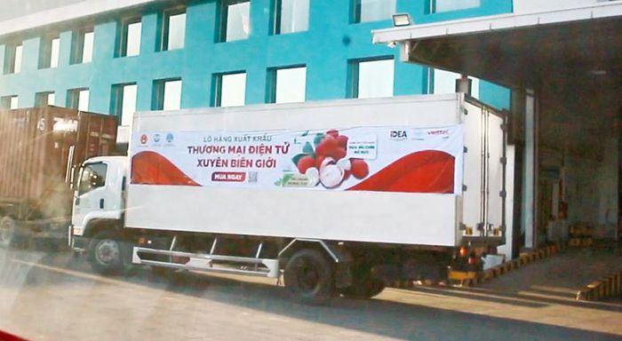 Người dân châu Âu chỉ cần ngồi nhà đặt mua vải thiều Việt Nam, sau 4-5 ngày sẽ nhận được hàng.