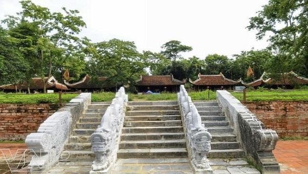 Bí ẩn về những “mộc tinh” ở cố đô Lam Kinh: Kỳ 2: Chuyện ly kỳ cảm động về cây lim đại thụ “hiến thân”
