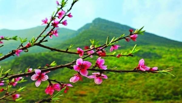 Rạo rực những bản tình ca xuân
