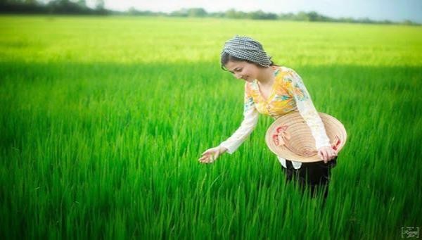 Người xưa nhìn hiện tượng dự đoán thời tiết để áp dụng sản xuất (Ảnh minh họa)