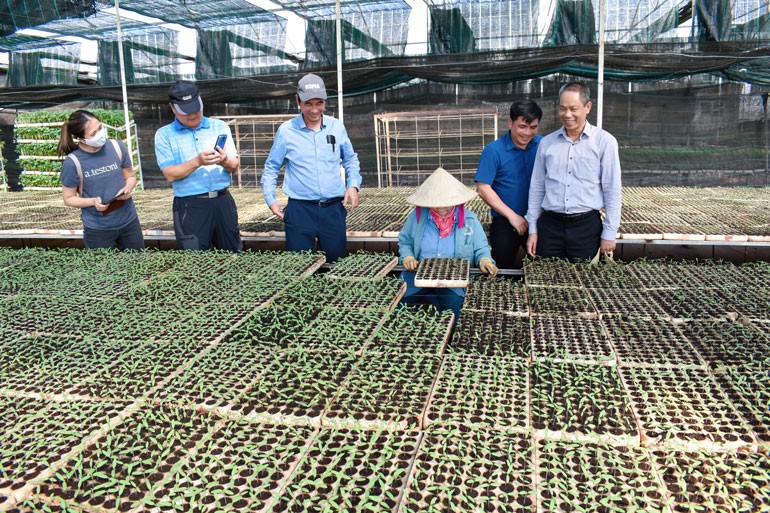 Lâm Đồng chú trọng phát triển nông nghiệp ứng dụng công nghệ cao.