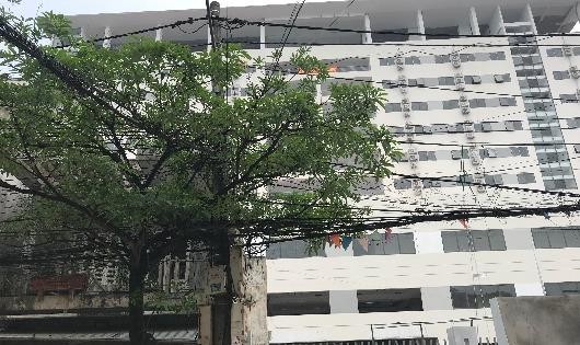 Khu điều trị chất lượng cao tỉnh Thái Bình xây dựng giáp với nhà ở của các hộ dân liền kề