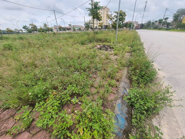 Nhiều nhà đầu tư "gánh nợ" khi vay tiền ngân hàng "ôm đất".
