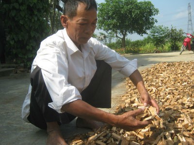 Lương y Nguyễn Sinh Châu