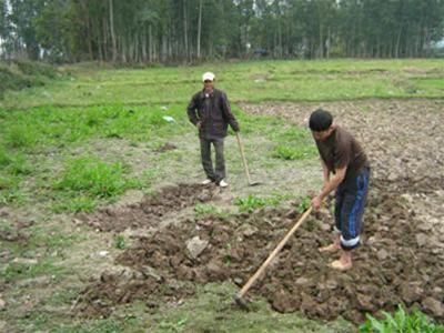 Môi trường đất đang bị ô nhiễm nặng nề- ảnh MH