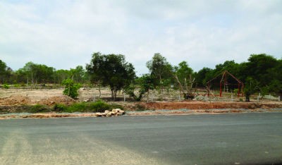 Bảo vệ rừng phòng hộ cũng là bảo vệ an ninh quốc gia