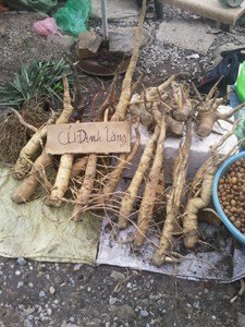 Bán các loại thuốc lá, thuốc củ,... cho du khách chữa bệnh.