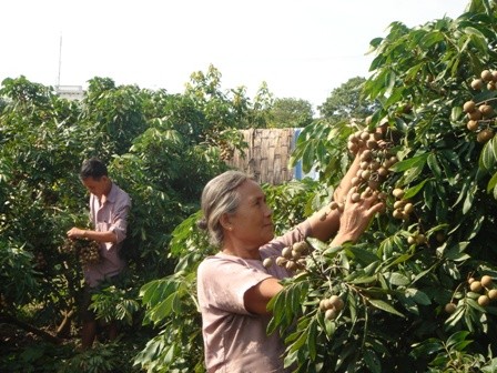 Dự đoán thị trường không chuẩn xác khiến doanh nghiệp lao đao