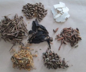 Một số vị trong bài thuốc chữa bệnh sởi