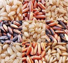 Gạo rất tốt cho sức khỏe