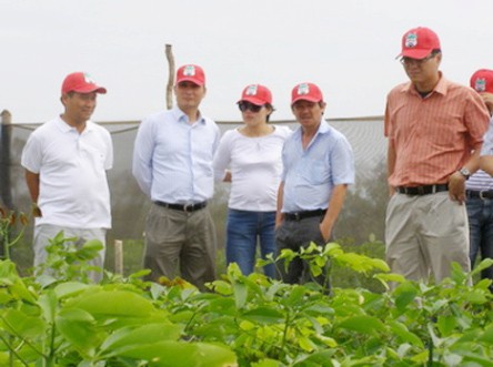 Global Witness cáo buộc HAGL: chưa có giá trị pháp lý!