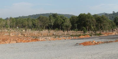 Đoạn đường đi qua rừng phòng hộ