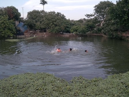 Ao hồ ở nông thôn đang bị thu hẹp và ô nhiễm trầm trọng