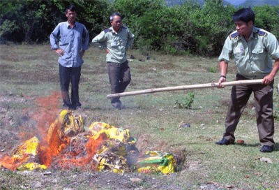 Cơ quan Quản lý thị trường tỉnh Đồng Tháp tổ chức tiêu hủy phân bón giả