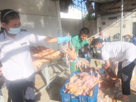 Lực lượng chức năng bắt động vật lậu