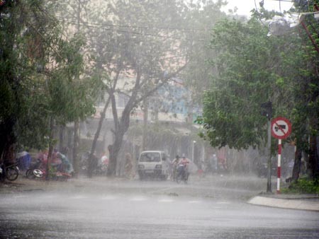 Ảnh minh họa từ VTC News