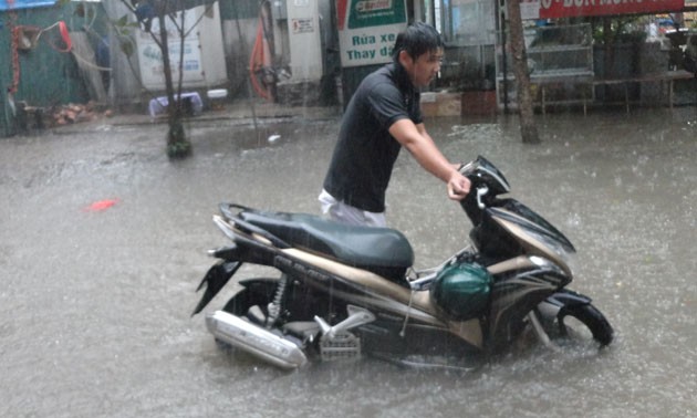 Lóp ngóp trong mưa lớn