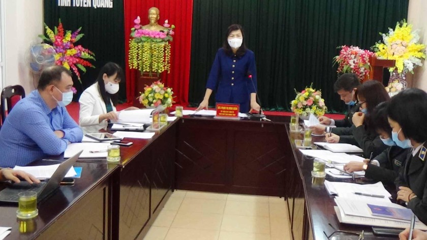 Hội đồng nhân dân tỉnh Tuyên Quang giám sát công tác thi hành án dân sự