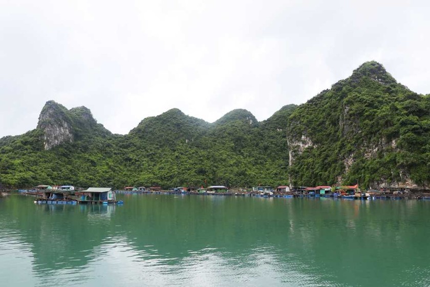 Làng Chài cống Lão Vọng là một địa điểm khảo sát của đoàn công tác.