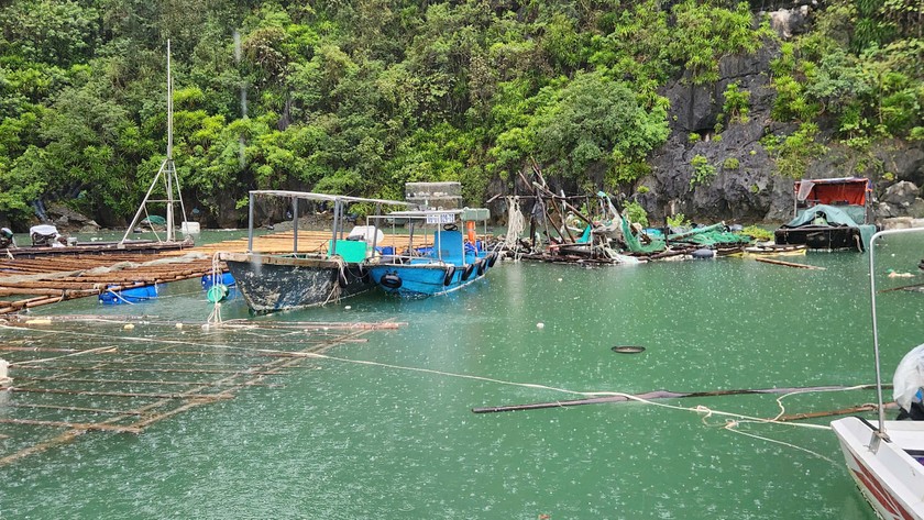 2.637 cơ sở nuôi trồng thủy sản bị thiệt hại nặng do cơn bão số 3 gây ra.