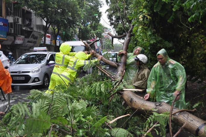 CSGT Hà Nội huy động 100% lực lượng, phương tiện chống bão