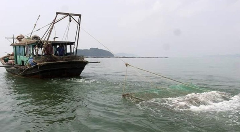 Hình ảnh tàu cào nhám trên vùng biển Hòn Miểu, huyện Hải Hà, Quảng Ninh Ảnh: Ngư dân cung cấp
