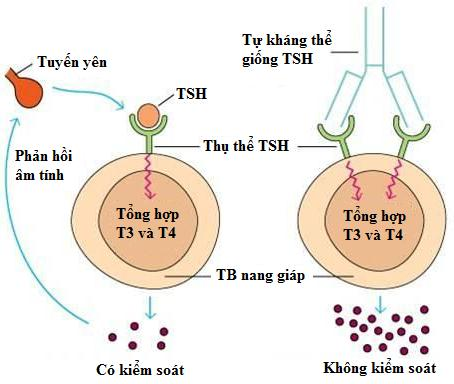 7. Biến chứng và cách phòng ngừa