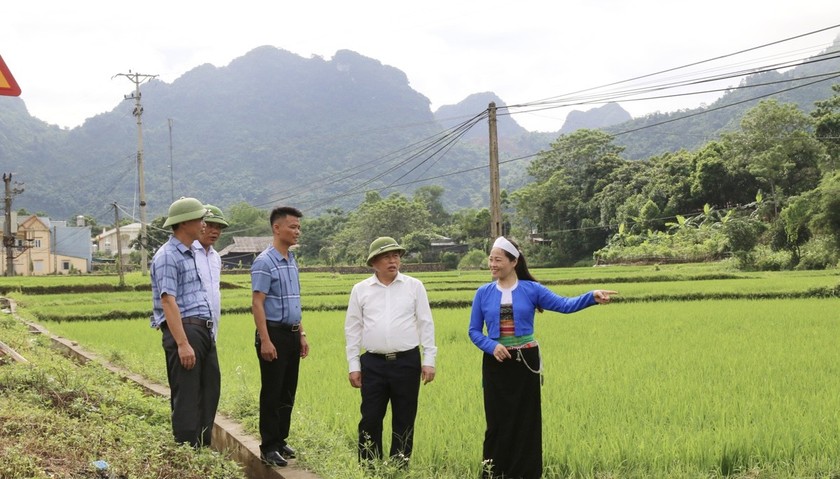 Hoà Bình: Chuẩn hoá đội ngũ cán bộ vùng đồng bào dân tộc thiểu số