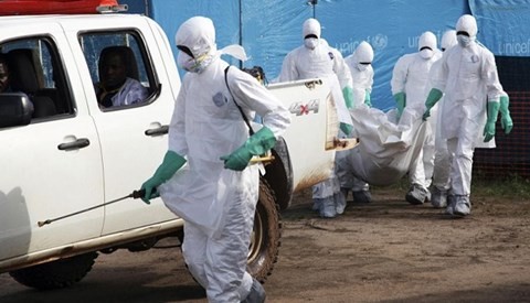 Khả năng xâm nhập Ebola vào Việt Nam đang rất cao