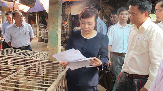 Bộ trưởng Nguyễn Thị Kim Tiến kiểm tra việc mua bán gia cầm tại chợ Giếng Vuông (Lạng Sơn) - Ảnh: L.Anh