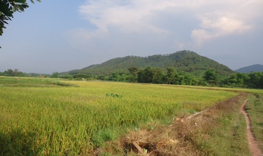 Cánh đồng nơi hai anh em bị sét đánh 