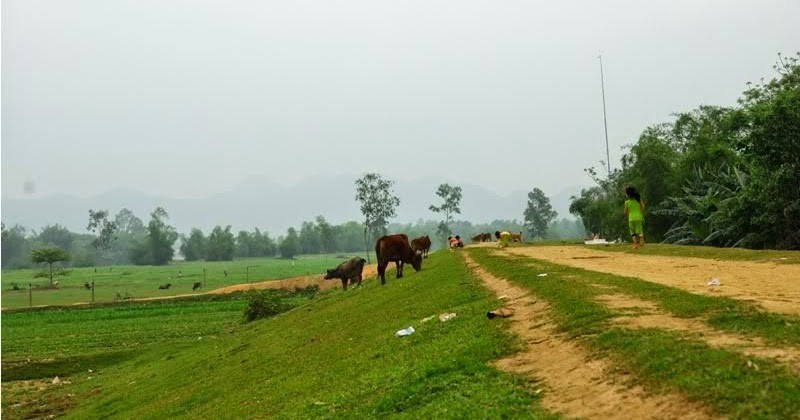 Các đối tượng đã đưa bé N lên bờ đê rồi thực hiện hành vi đồi bại (Hình chỉ có tính minh họa)