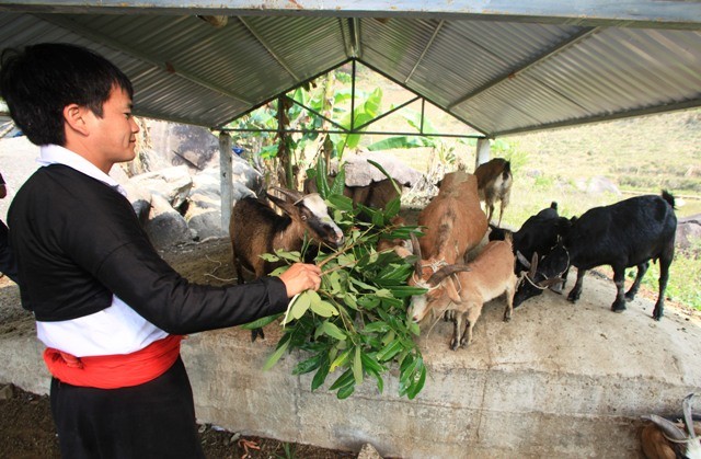 Hình chỉ có tính minh họa